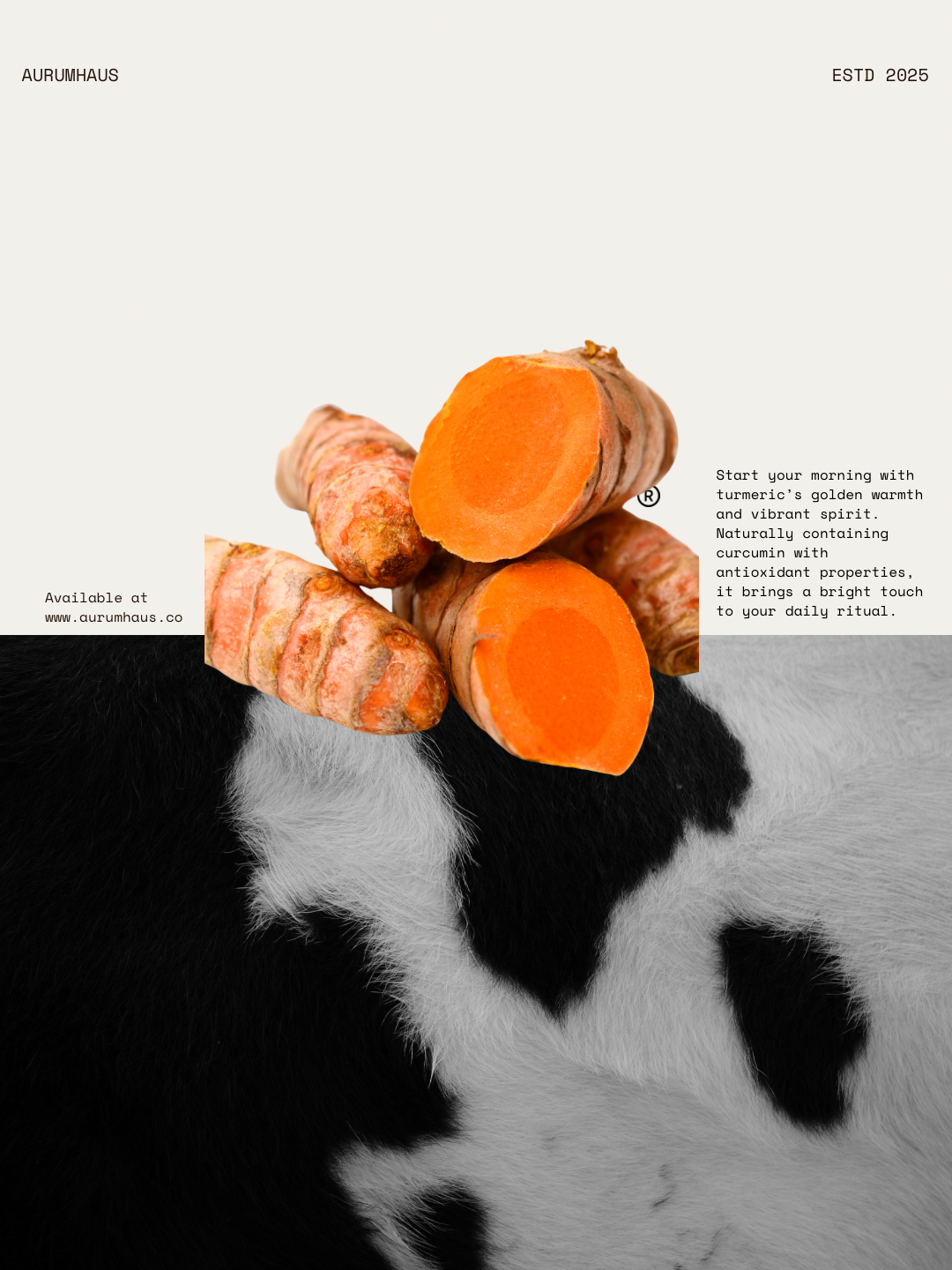 Turmeric No.15 | Turmeric Black Tea