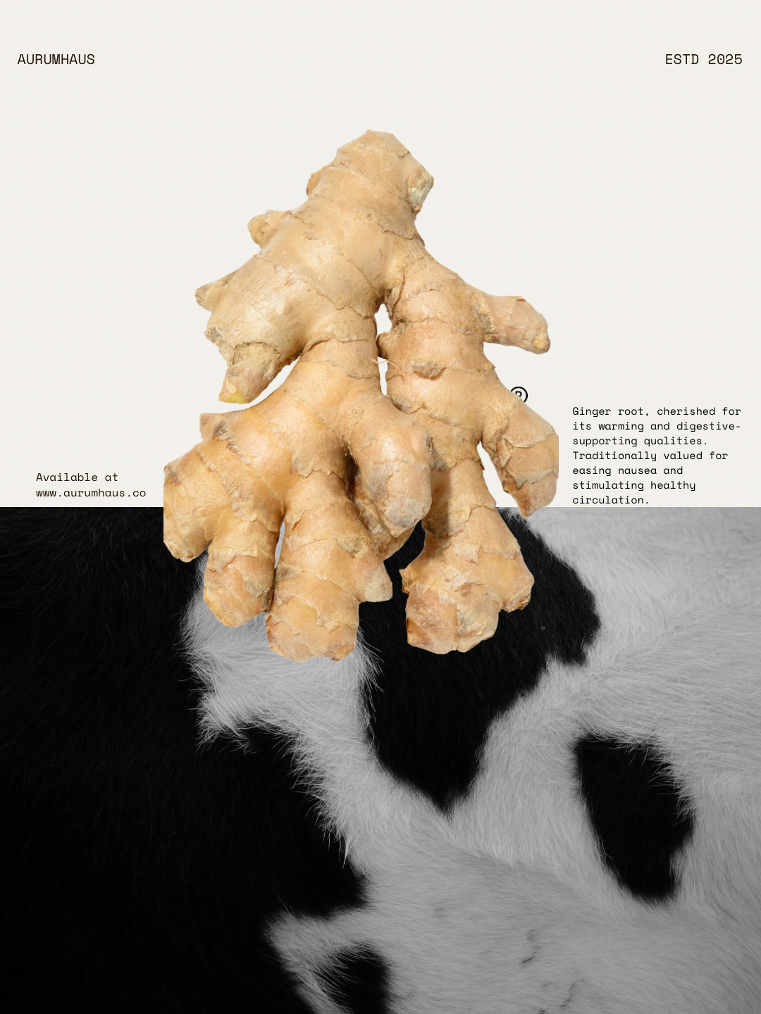 Ginseng No.01
