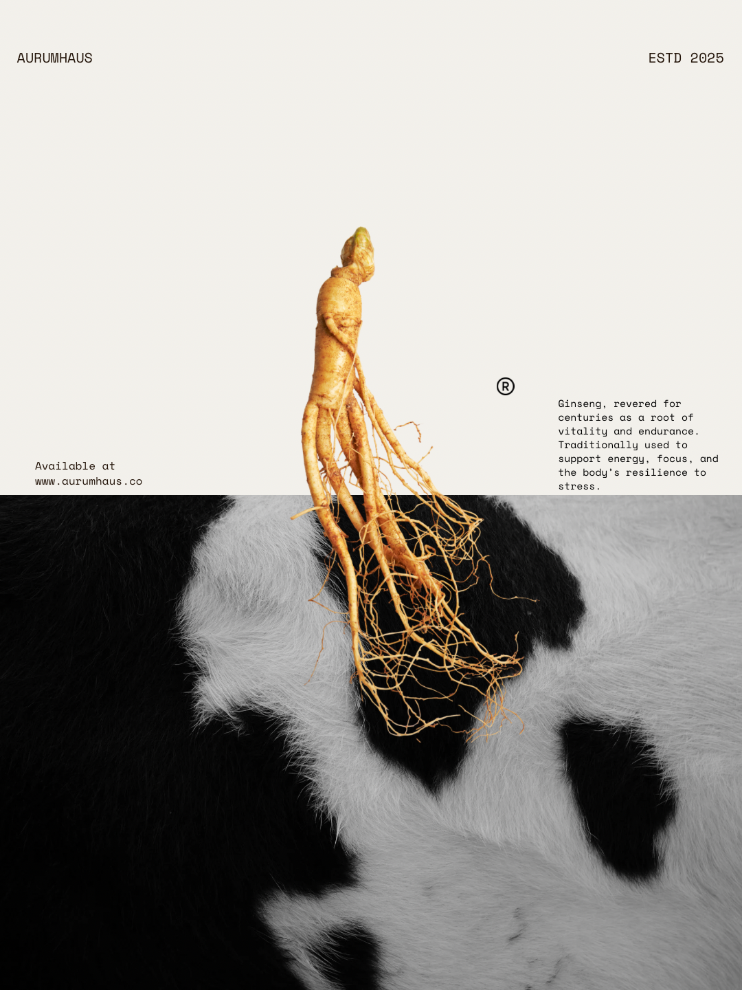 Ginseng No.01