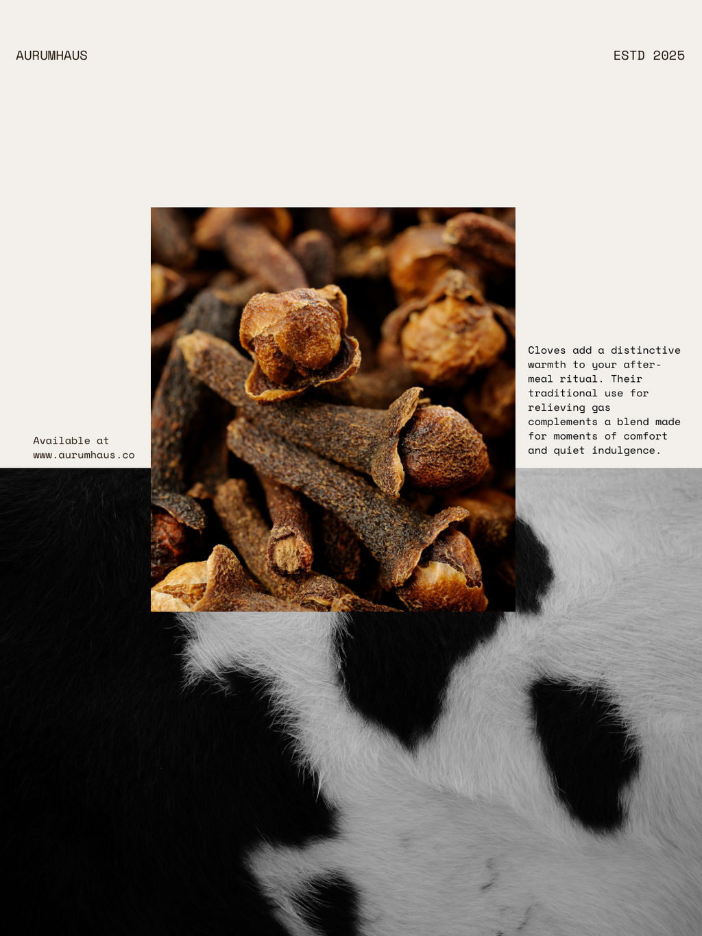 Maharani No.17 | Spiced Black Tea
